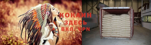 шишки Белоозёрский