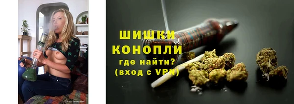 apvp Богородск