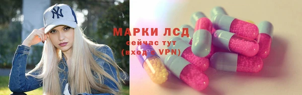 шишки Белоозёрский