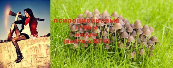 шишки Белоозёрский
