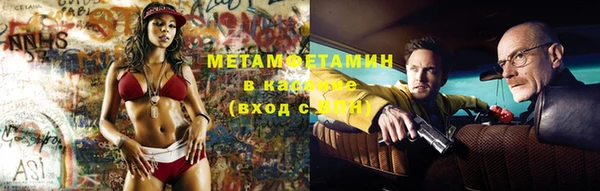 шишки Белоозёрский