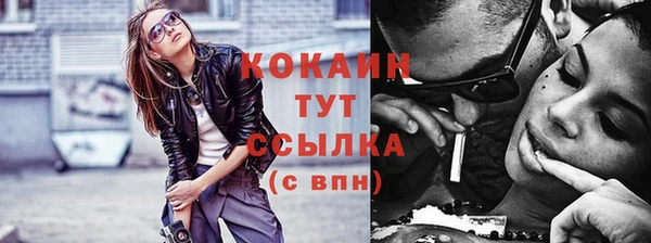 шишки Белоозёрский